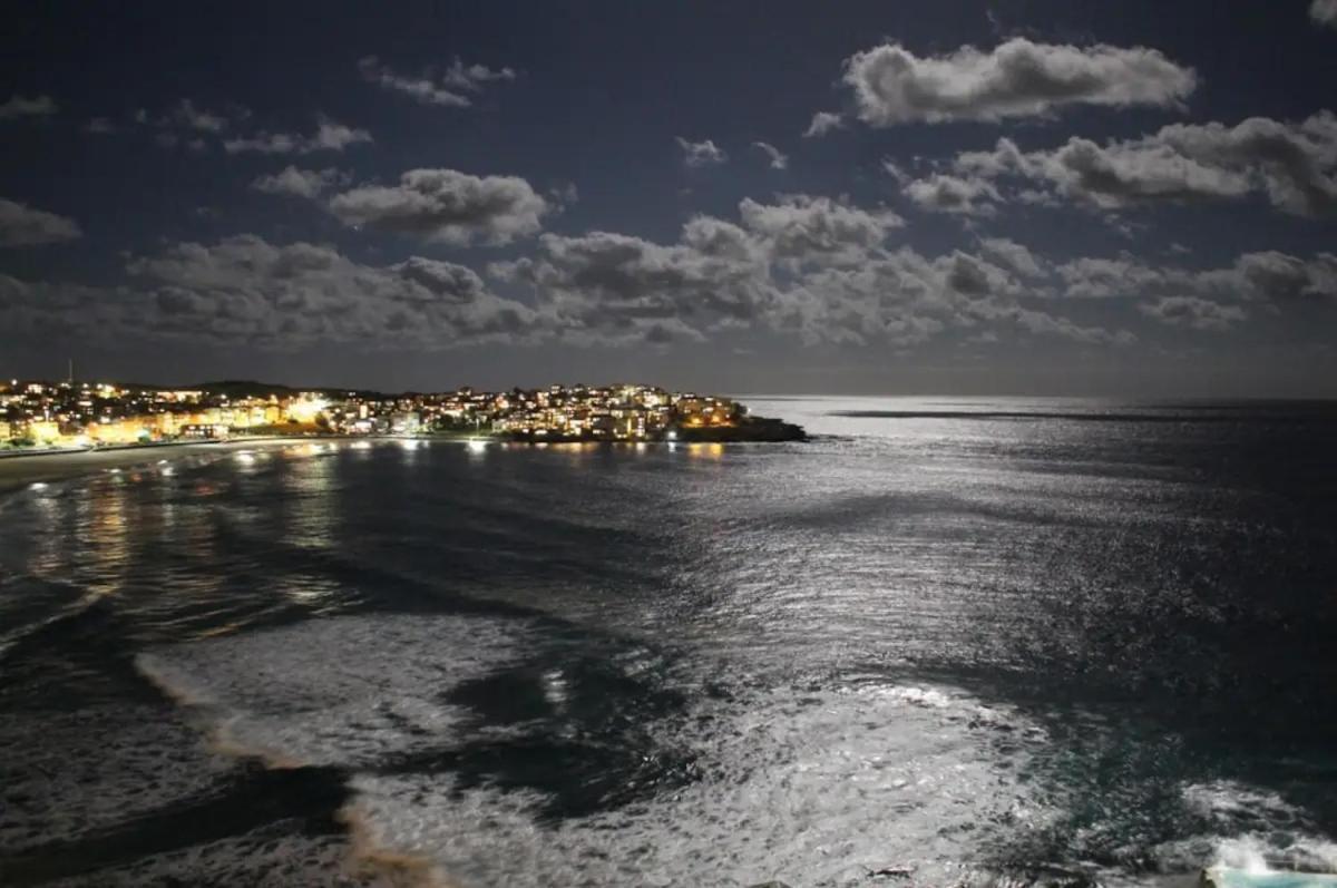 Studio Bondi Beach Sidney Dış mekan fotoğraf
